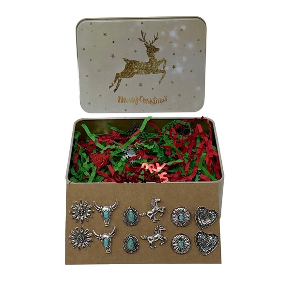 Western Earrings in Christmas Gift Box for Women and Girls - Cowgirl Earring - Picture 3 of 11